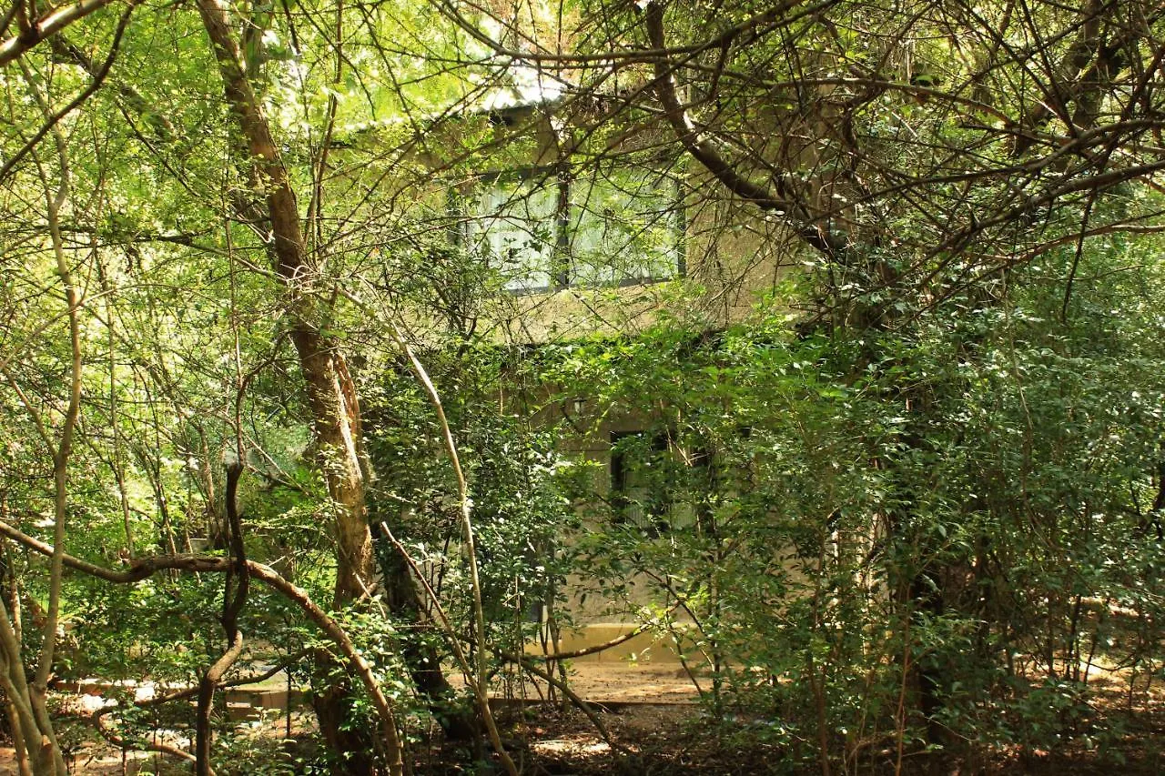 ***  Hotel Sigiriya Kele Шри-Ланка